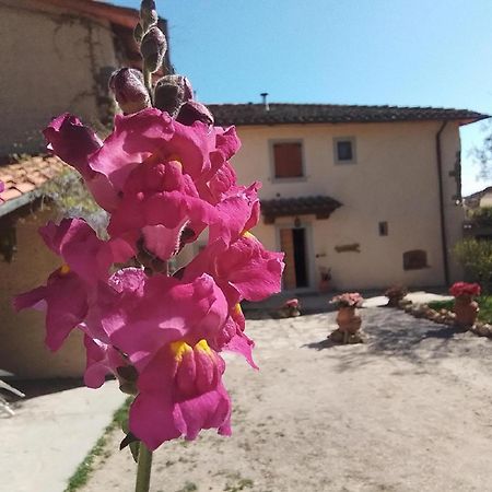 Casa Vacanze Podere Ugolini Ronta المظهر الخارجي الصورة