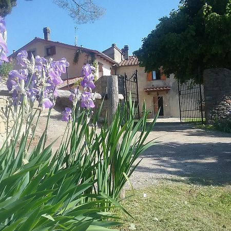 Casa Vacanze Podere Ugolini Ronta المظهر الخارجي الصورة