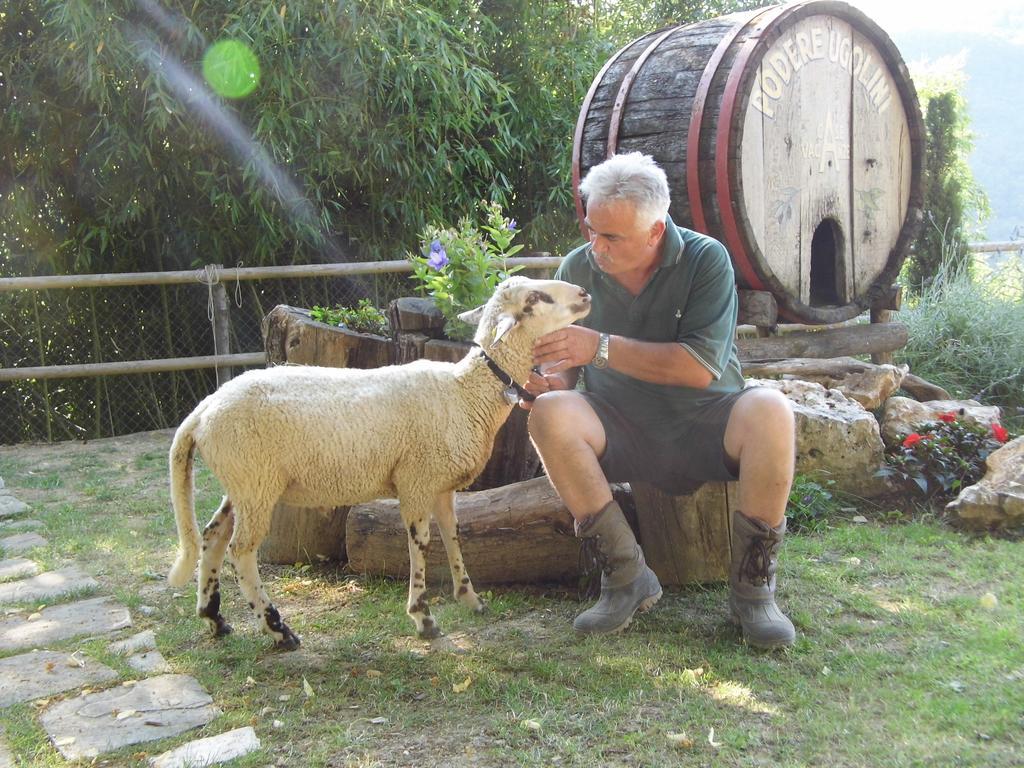 Casa Vacanze Podere Ugolini Ronta المظهر الخارجي الصورة