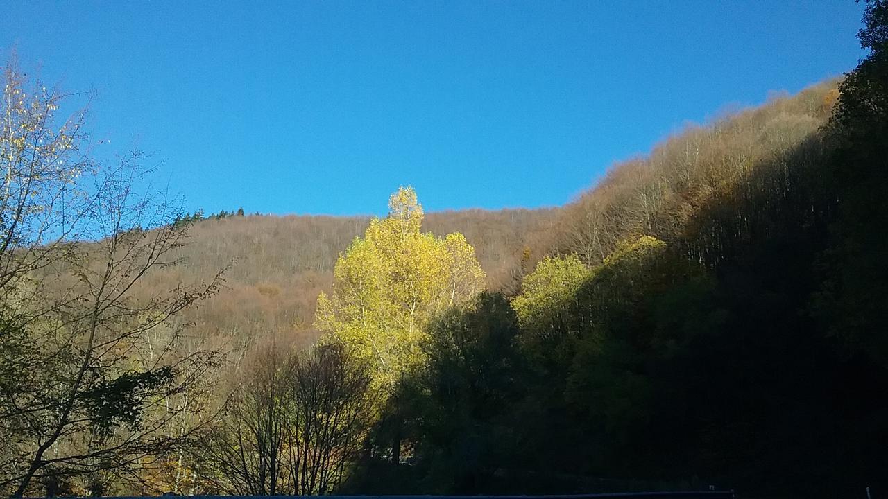 Casa Vacanze Podere Ugolini Ronta المظهر الخارجي الصورة