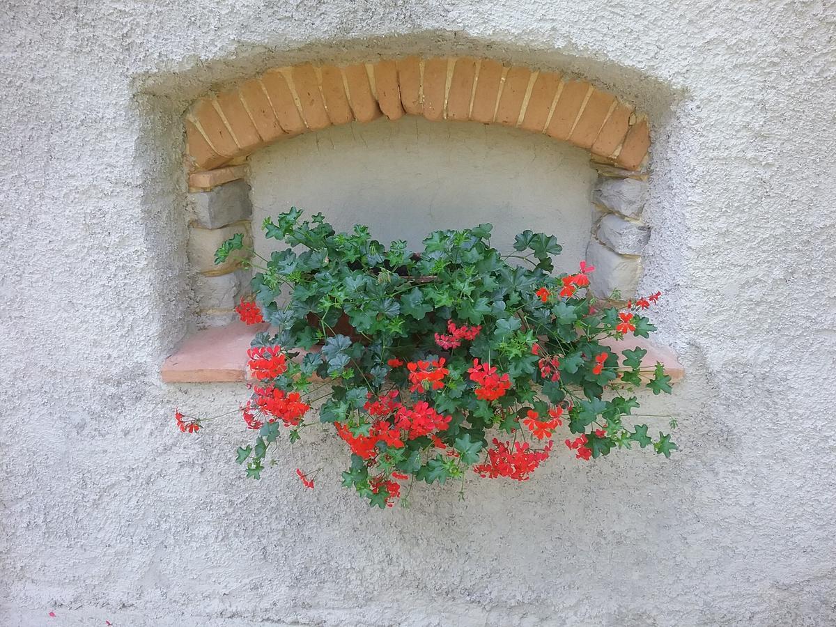 Casa Vacanze Podere Ugolini Ronta المظهر الخارجي الصورة