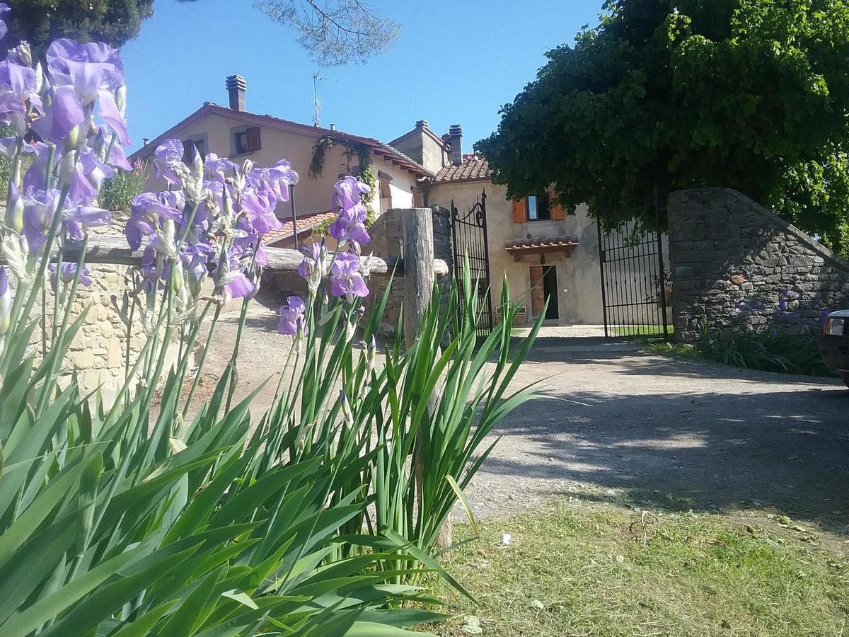 Casa Vacanze Podere Ugolini Ronta المظهر الخارجي الصورة