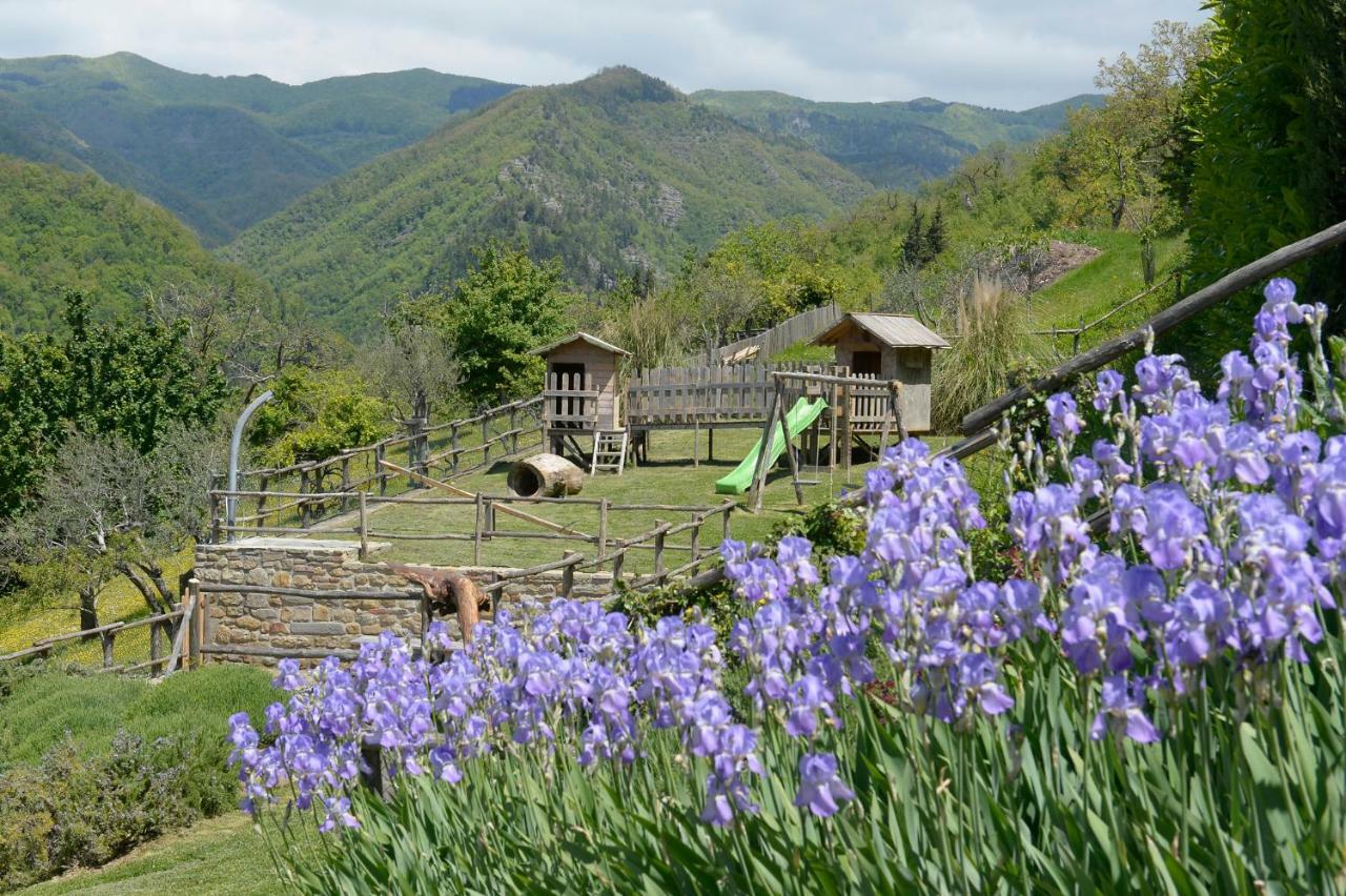 Casa Vacanze Podere Ugolini Ronta المظهر الخارجي الصورة